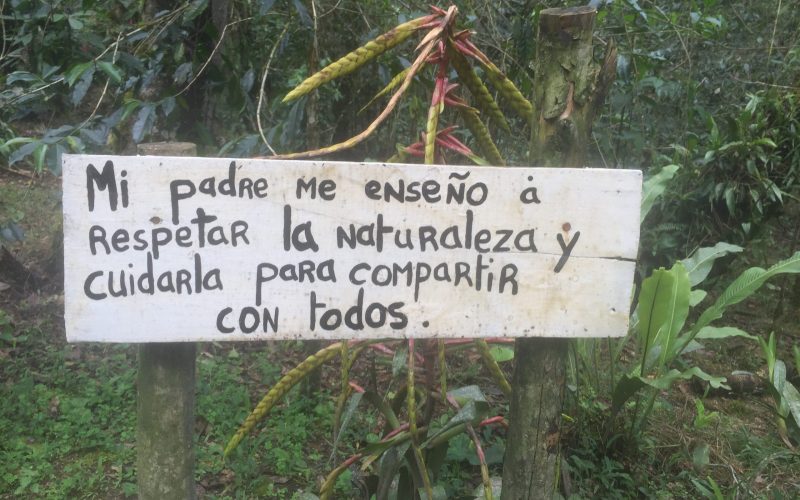 EDUCACIÓN AMBIENTAL SERVICIOS